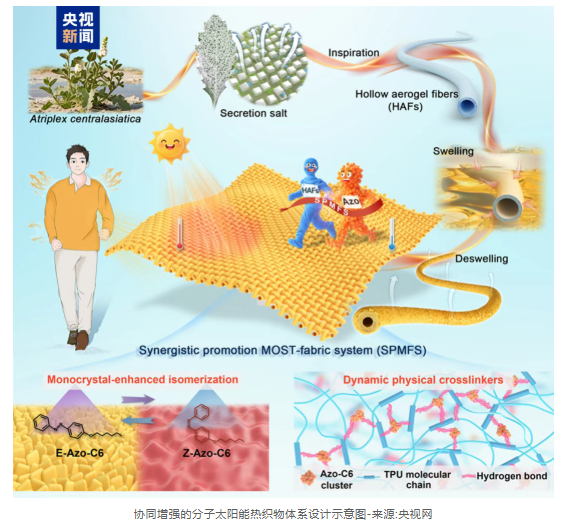 1761271049298420.png image.png