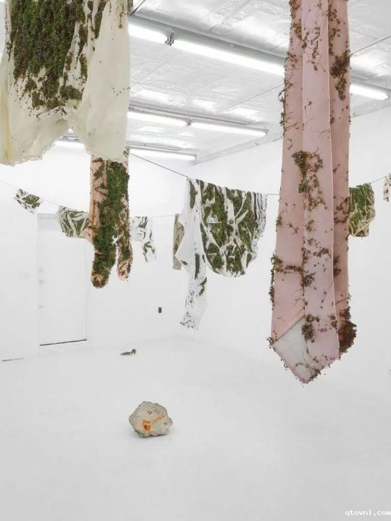 厦门纺织服装展|浅谈2025年时尚行业的环保面料趋势