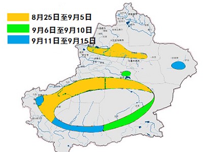 厦门纺织服装设计展|24年新疆棉花吐絮期预报