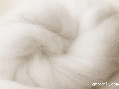 厦门服装博览会 | 棉纺织市场调查：旺季未见明显启动，企业多持谨慎心态