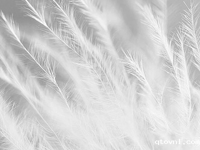 厦门服装博览会|7月羽绒行业原毛进口大幅上涨 出口降幅继续缩窄