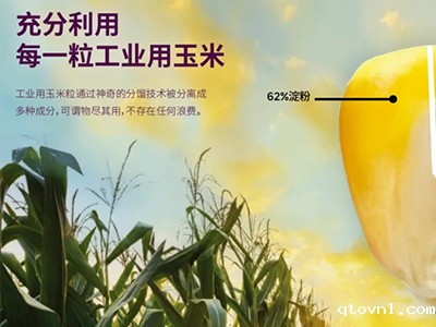 厦门纺织服装设计展 | 从农场到时尚：由一颗玉米开启的脱碳之旅